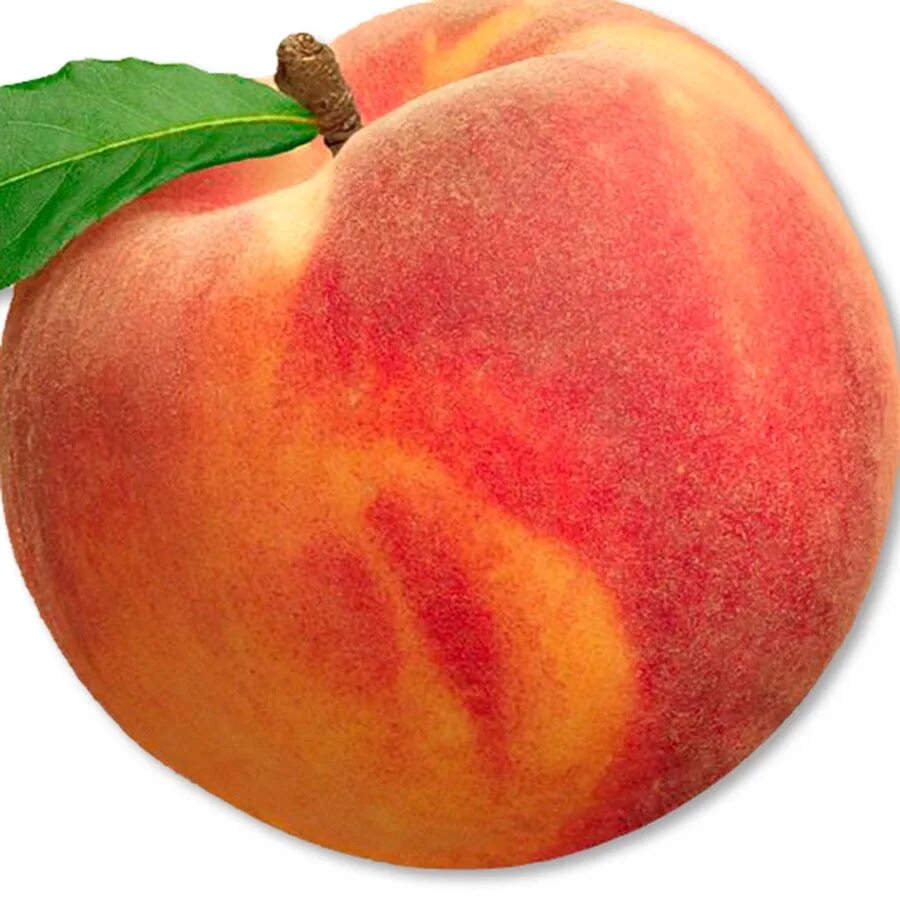 Манговый нектарин. Шафтоли меваси. Peaches pics. Персик для детей на белом фоне. Нектарин это гибрид.