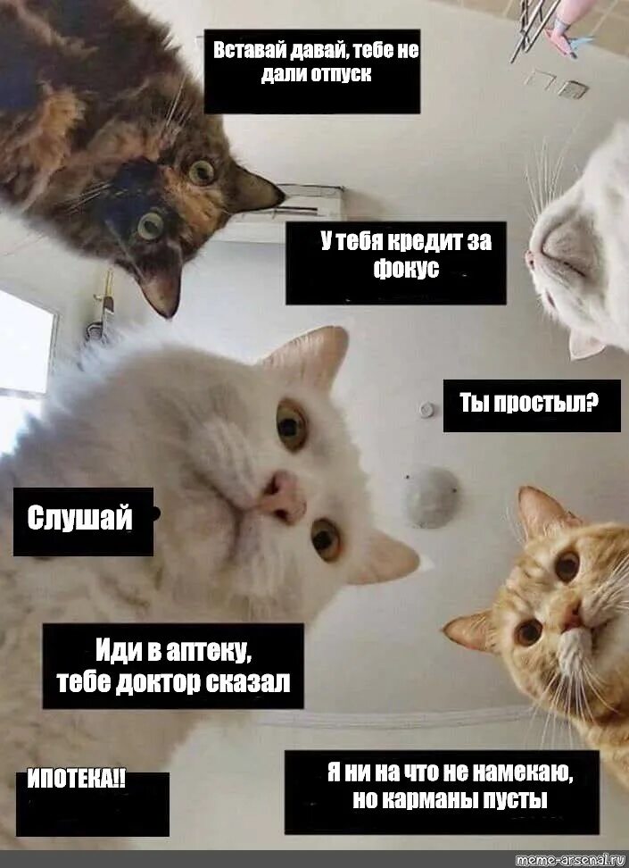 Сюда вставай потому что мне здесь удобней. Мемы вставай. давай вставай. давай просыпайся. просыпайся давай мем.