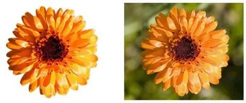 Орыс порно: кішкентай киска