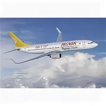 Pegasus airlines зарегистрироваться. Pegasus airlines. самолет pegasus. самолет пегасус в небе. pegasus airlines отзывы.