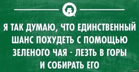 Post #2124 - Худеем легко (hPZSYhyoouQyNjli)