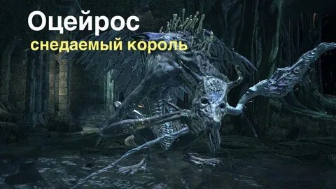 Дарк соулс оцейрос