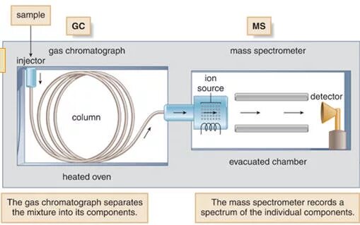 Мс газ. Chromatography scheme. Detector did Chromatography. Gas Detector scheme. Peak Detector circuit for Gamma Spectrometry.