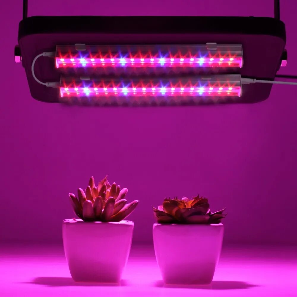 Фито 1. Фитолампа для растений led plant grow light 14w. фитолампа 38мм-5730 28 led. фитолампа 3 спектра освещения. светильник светодиодный для растений jazzway ppg t8i-1200.