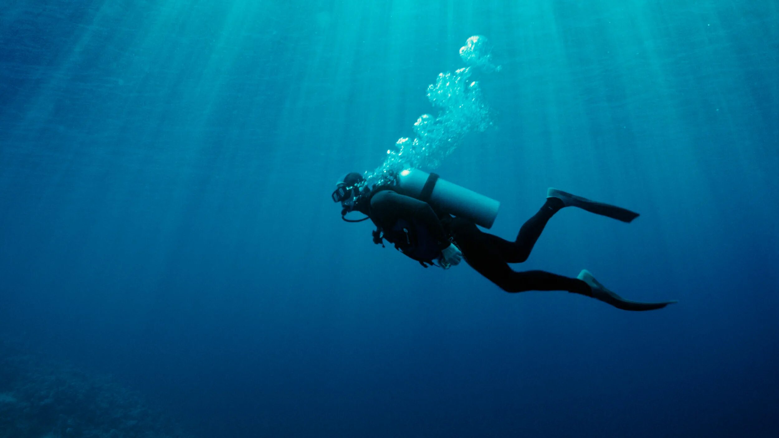 Life is diving. Мусандам дайвинг. Озеро Танганьика дайвинг. Погружение под воду. Под водой.