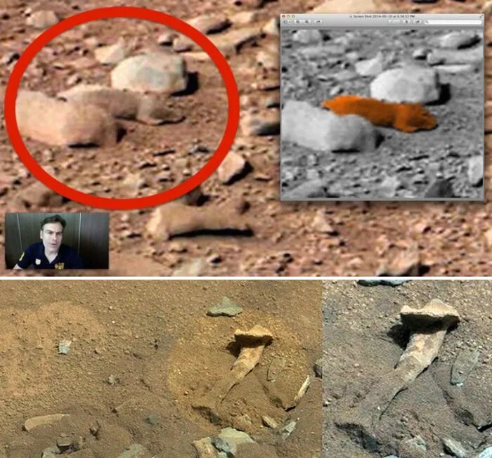 Жизнь на Марсе доказательства. Явление на Марсе. Живые организмы на Марсе.