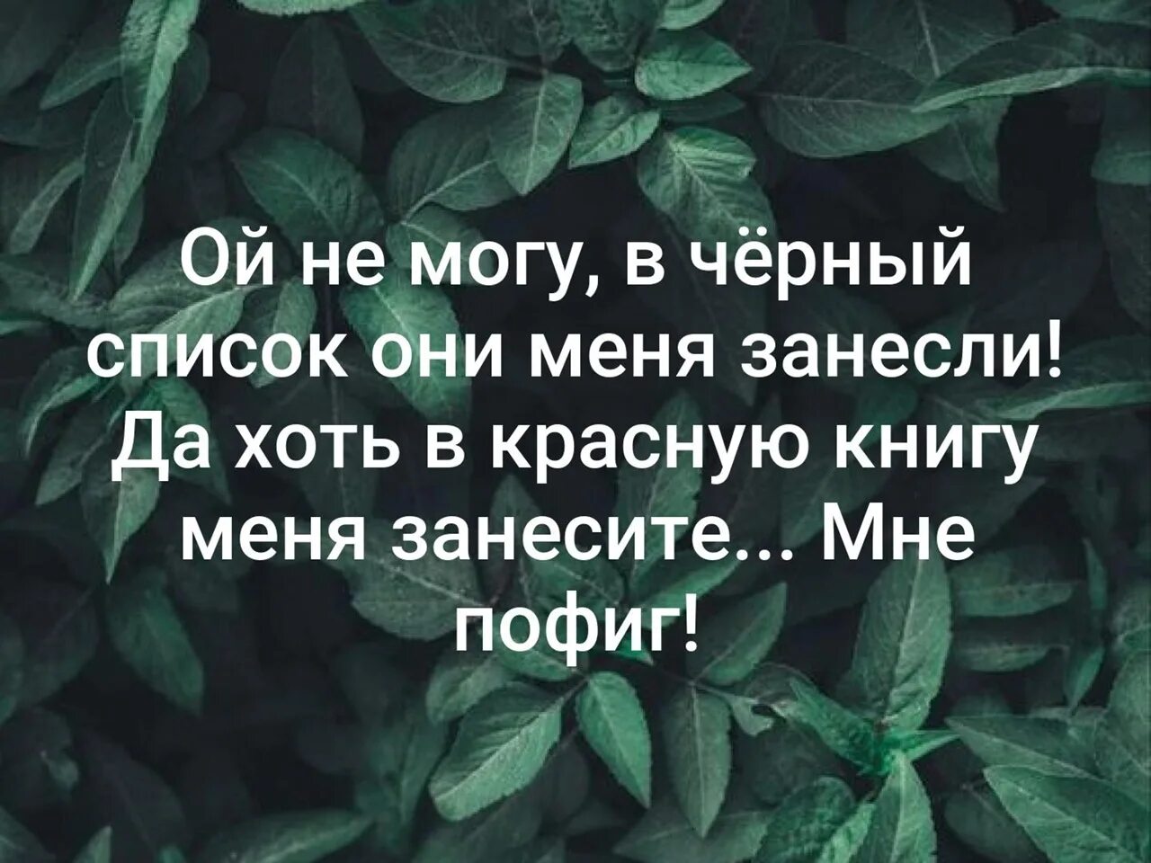 Я не могу в. Цитаты про черный список в соц.сетях. Меня в черный список. Вы в черном списке картинка. Занесли в черный список.