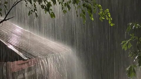Use rain
