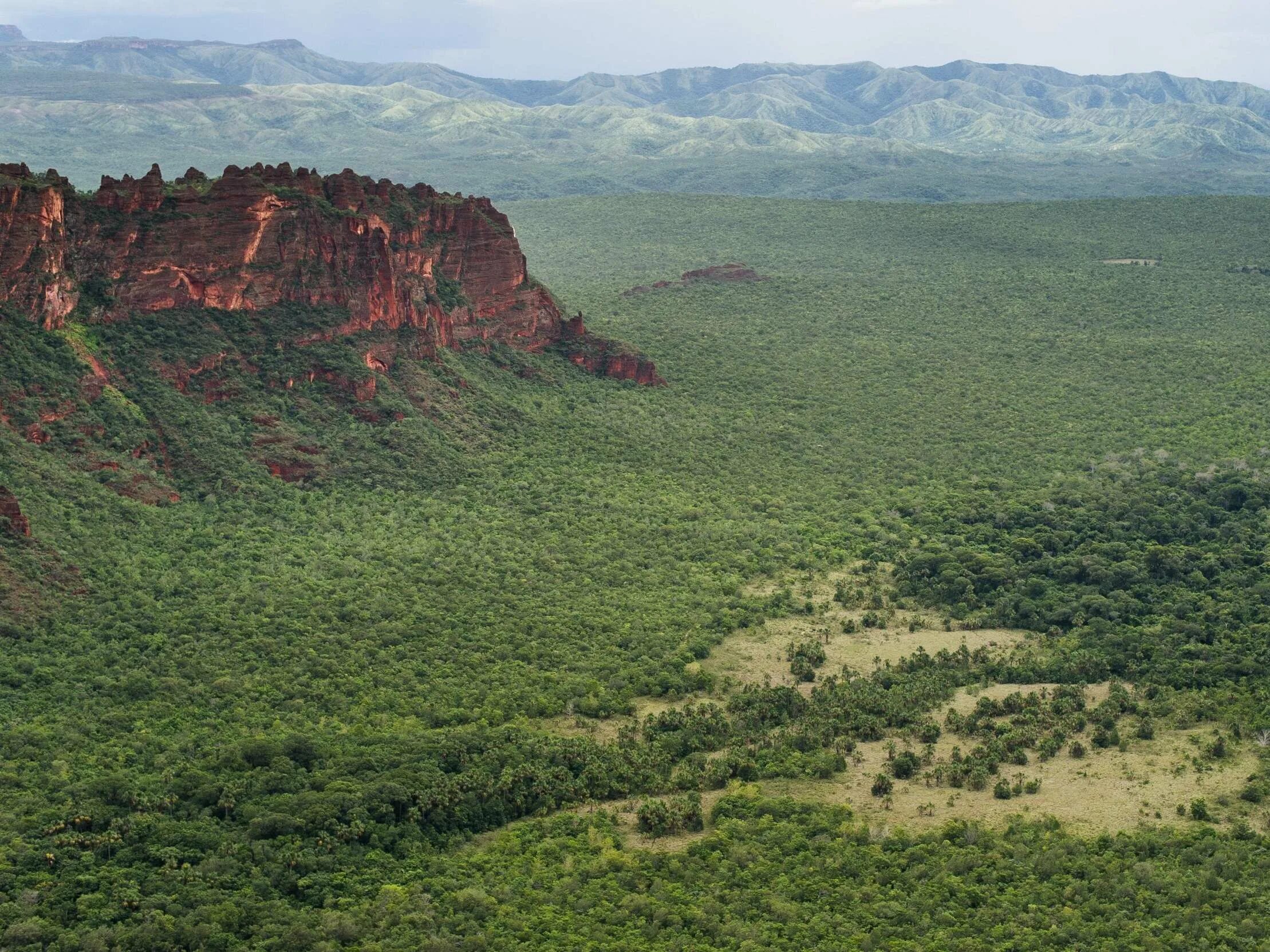 Природные зоны бразилии почва. Южная Америка Гвианское плоскогорье. Бразилия плато Мату Гросу. Штат Мату-Гросу Бразилия природа. Бразильское и Гвианское плоскогорье.