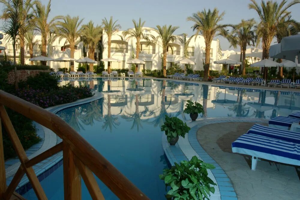 Отель sierra sharm 5 египет. Sharm club beach resort 4 египет. Luna hotel египет. Dive in resort 4 шарм-эль-шейх. Отель parrotel lagoon resort 5*.
