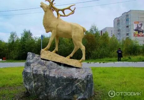 Город оленегорск область