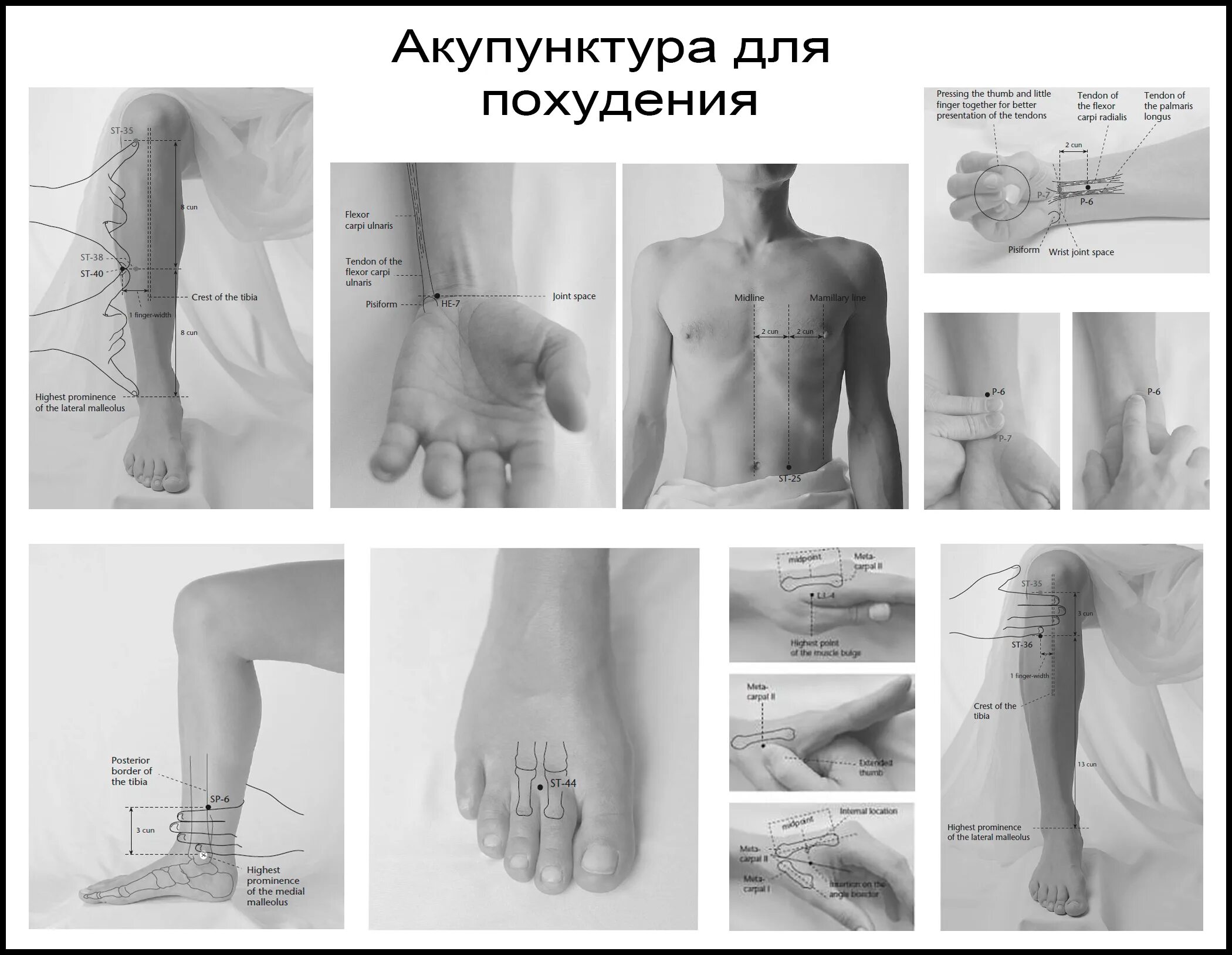 Точки на теле для похудения. Массажные точки для похудения. Похудей точка. Похудей точка. Акупунктура точки на теле для похудения.