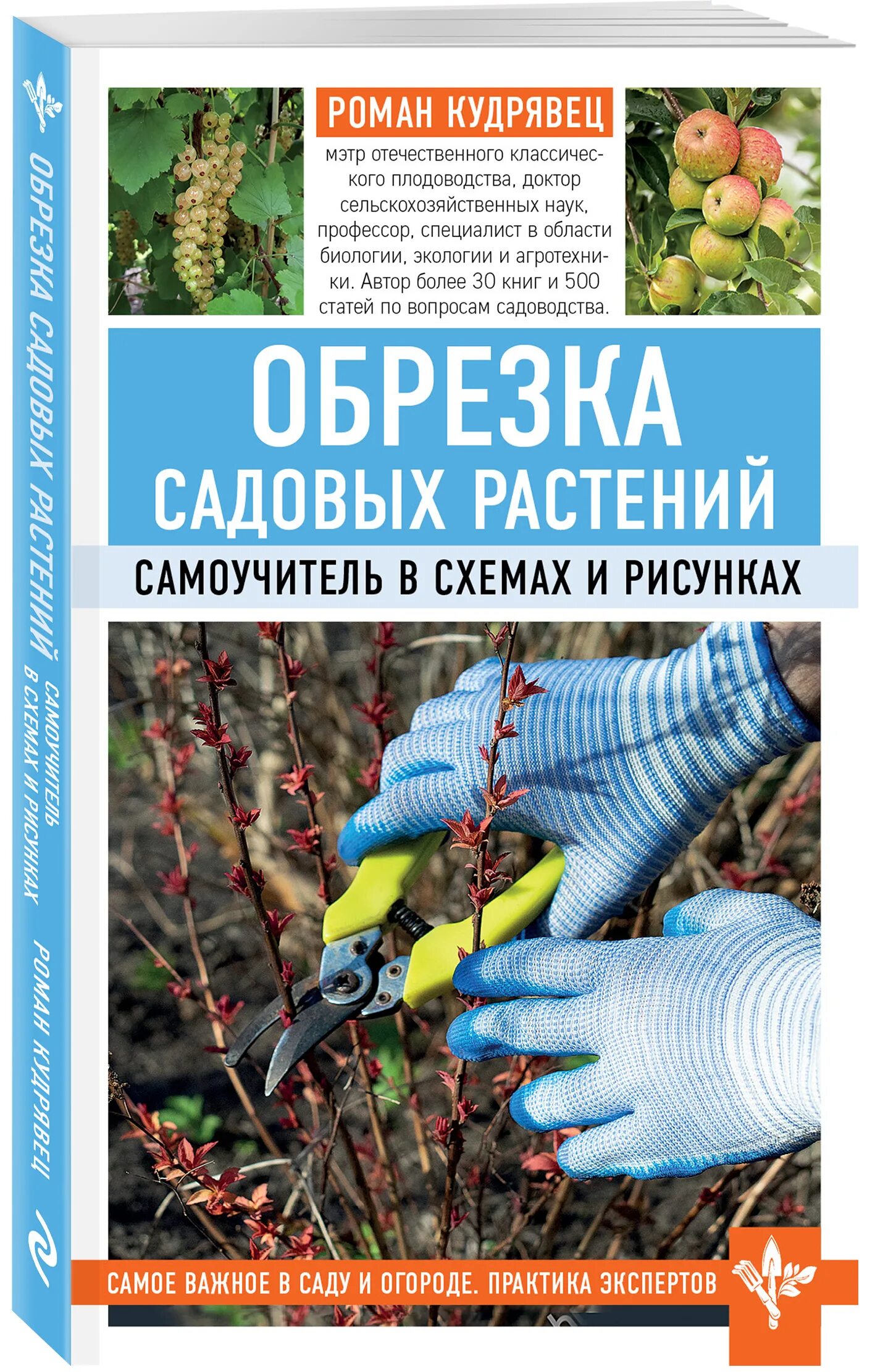 Обрезка плодовых деревьев книга. Кудрявец книга кудрявец обрезка плодовых деревьев. обрезка садовых растений. самоучитель в схемах.