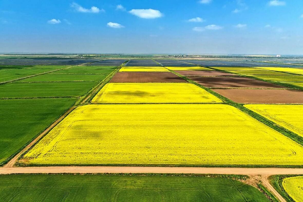 Lost fields