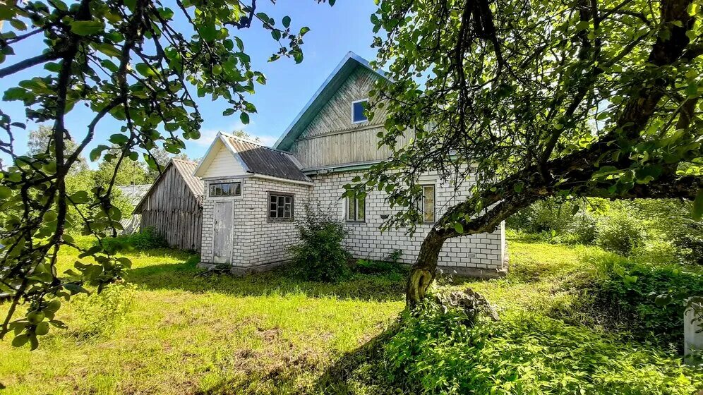 Барабанов деревня. Барабаны деревня псковская область.