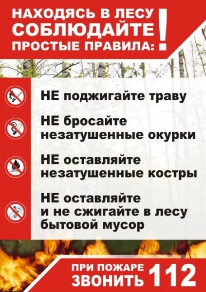 Правила пожарной безопасности в лесу. Противопожарные плакаты в лесу. Пожарная безопасность в лесу памятка. Памятка по пожарам в лесу. Правил пожарной безопасности в лесах 2020