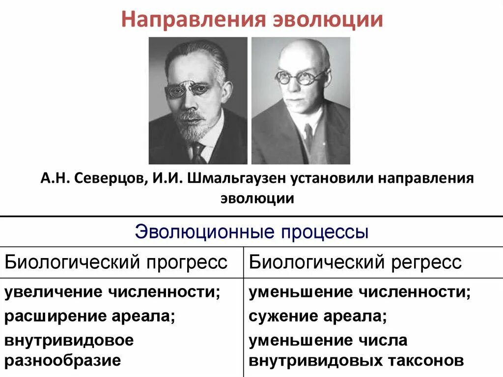 Биологический прогресс достигается. Основные пути и направления эволюции. Направления эволюции презентация. Направления эволюции по Северцову. Направление эволюции Шмальгаузена.