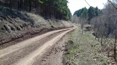 Погода в чекане