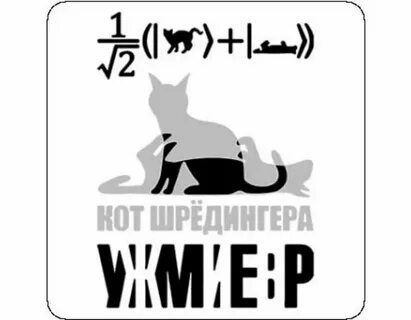 Теория кота шредингера