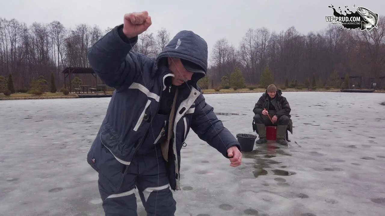 Клев на пруду. Форелевый платник в Подмосковье. Форелевая рыбалка в Подмосковье. Рыбалка в Дмитрове. Рыбалка в Дмитровском районе.