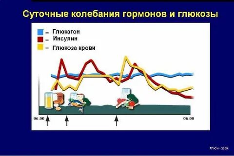 Суточные колебания