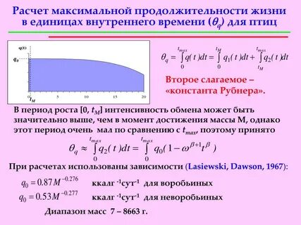 Как рассчитывается продолжительность жизни