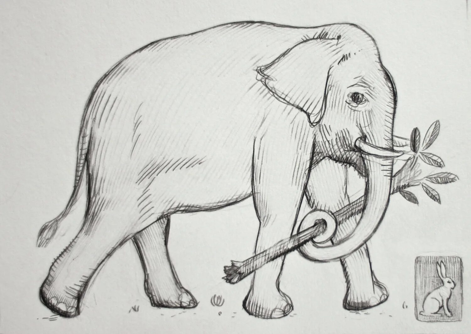 Слон нарисовать. Слон карандашом. Слоны рисунок карандашом. Слоненок карандашом. Рисунок слона карандашом для срисовки.