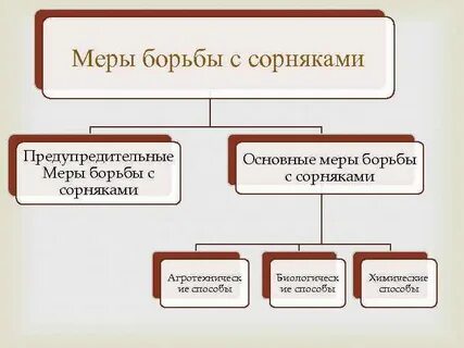Предупредительные меры сорняки