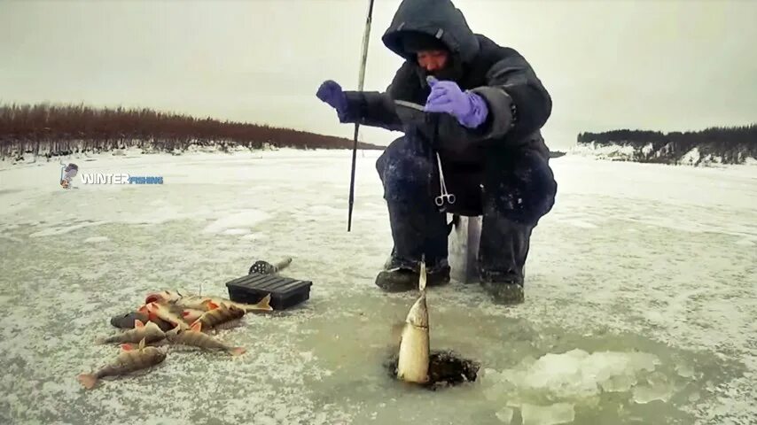 Зимняя рыбалка. Подледная рыбалка. Рыбак зимой. Зимняя рыбалка на реке.