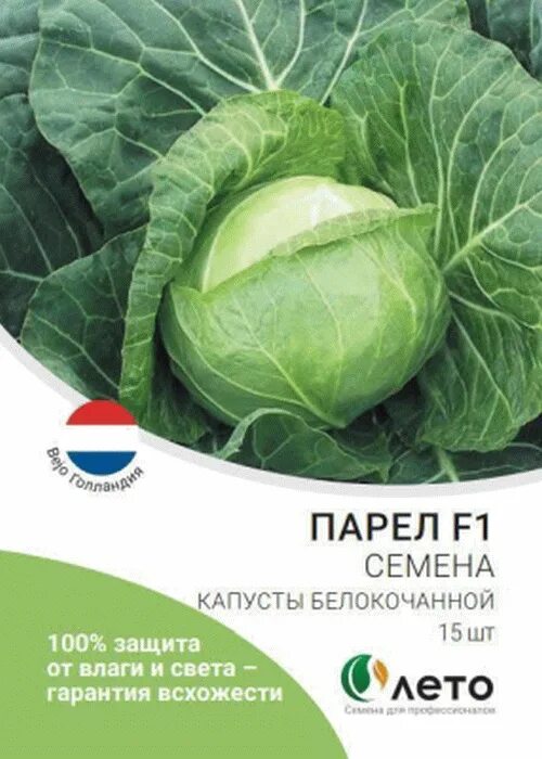 Капуста белокочанная Парел f1. Парел f1. Капуста сорт Парел. Парел f1 капуста описание. Капуста парел описание сорта