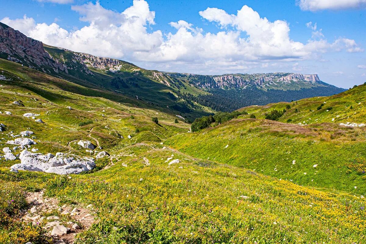 Лаго Наки Альпийские Луга. Каменное плато Лаго Наки. Адыгея плато Лагонаки Каменное море. Камера лагонаки адыгея