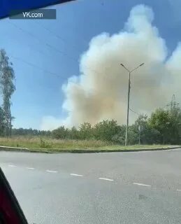 Очевидцы лес