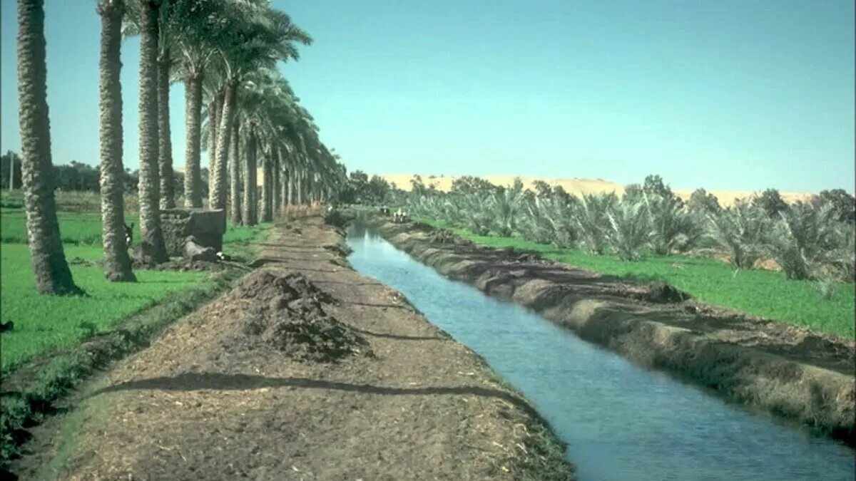 Орошение полей в древнем. Оросительные каналы древнего Египта. Ирригация каналы в древнем Египте.