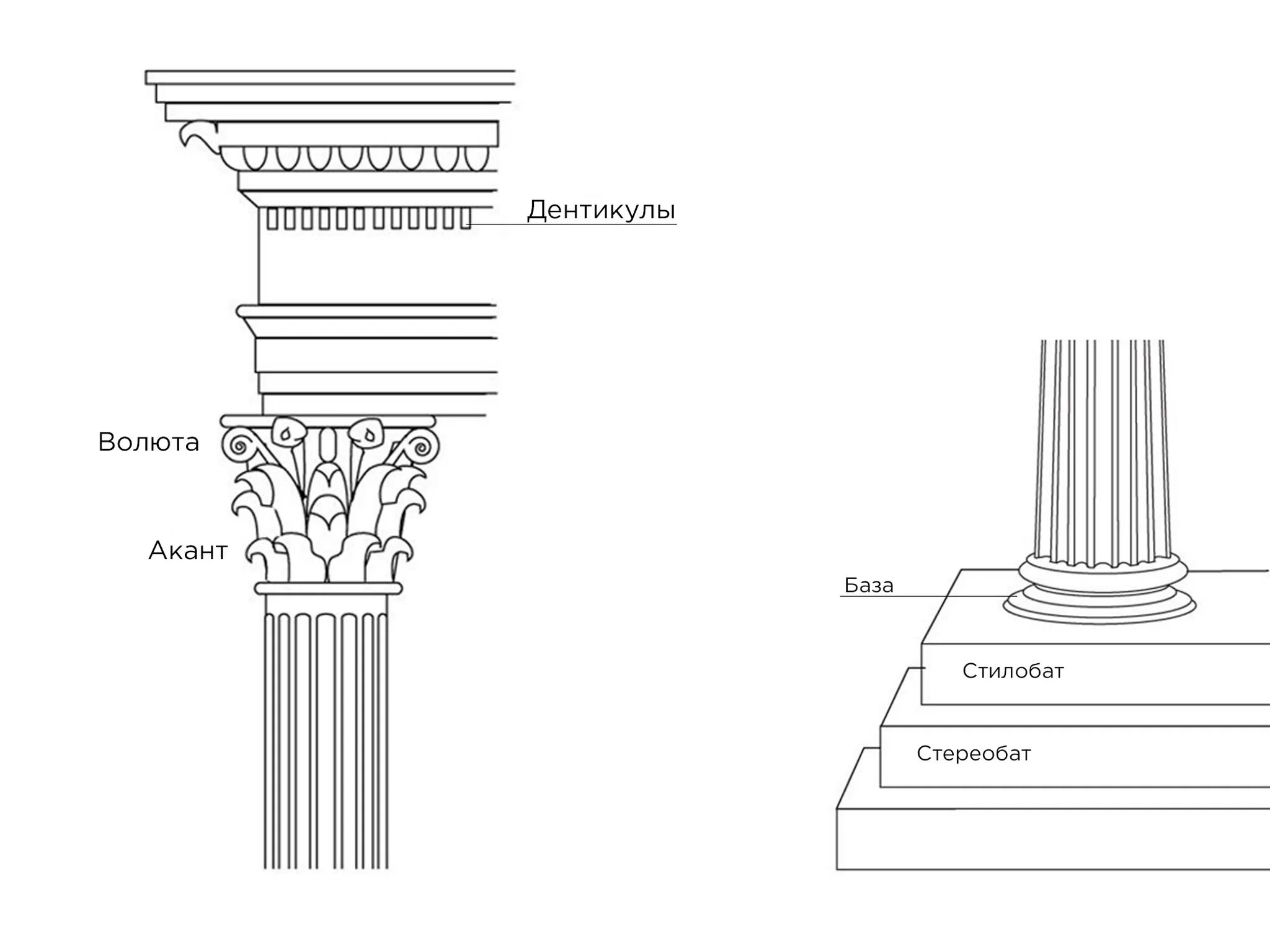 Ордеры белые. Коринфский ордер Греция. Колонна Коринфского ордера. Дорический ордер древней Греции колонны. Коринфский ордер в архитектуре.