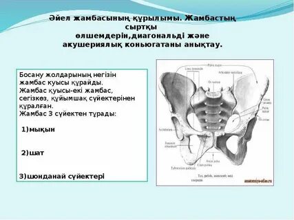Жыныстық қатынасқа арналған үшбұрышты жастық
