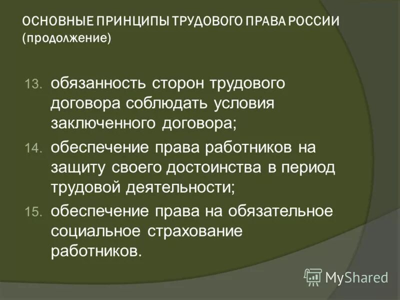 Принципы трудовых отношений рф. Принципы трудового договора.