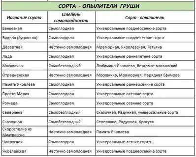 Жимолость сорта опылители