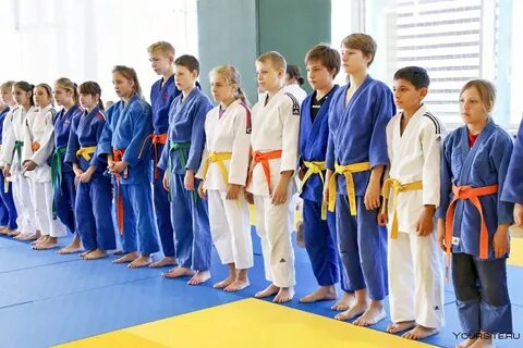 В какую секцию можно