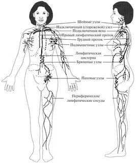 Догги стиліндегі көптеген жалаңаш әйелдер бейне