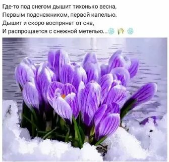 Еще только начало припекать весеннее