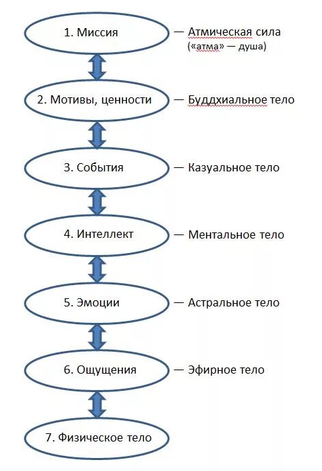 Сколько уровней развития