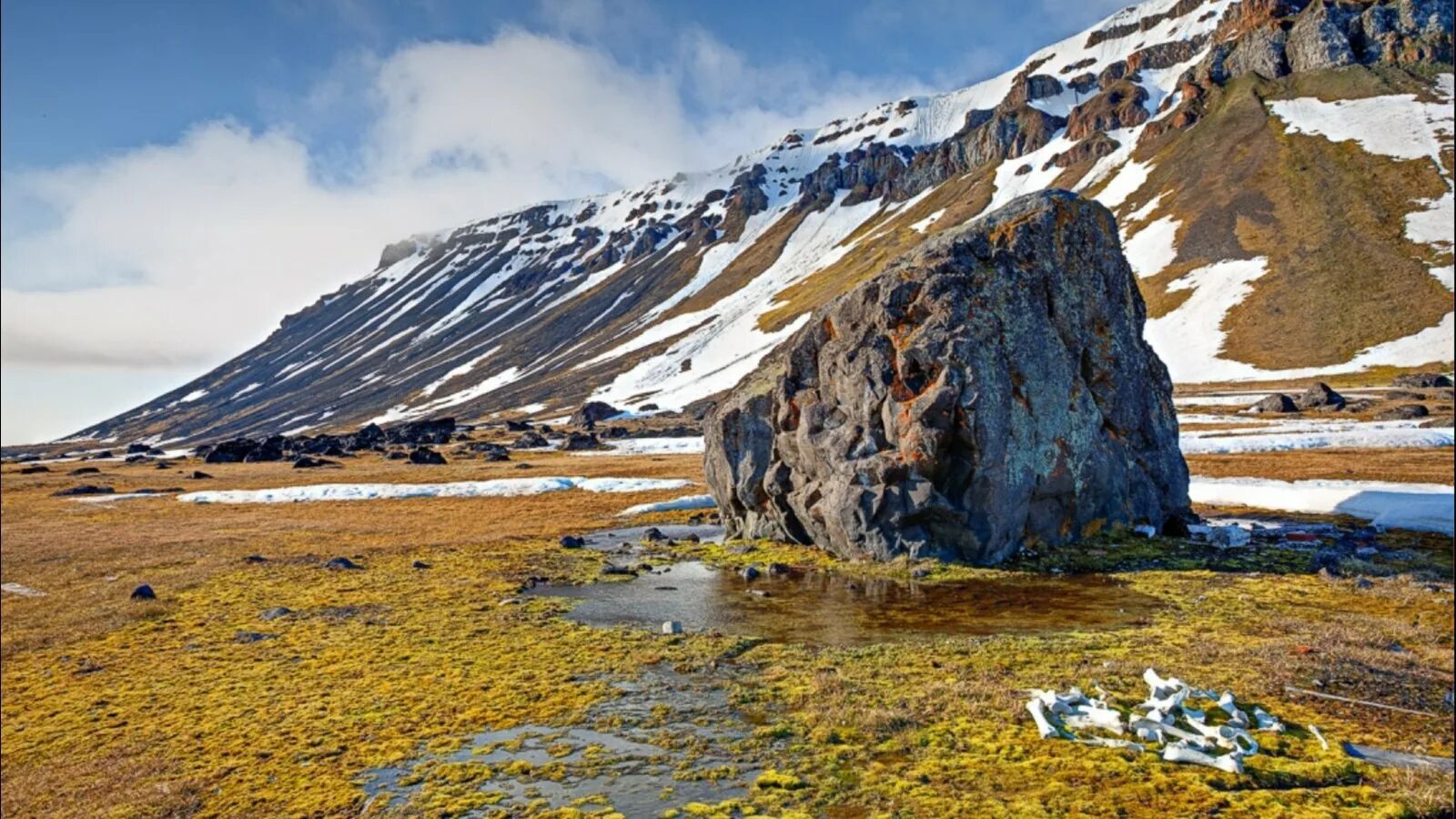 путорана красноярский край. национальный парк йеллоустоун, вайоминг, сша. озеро таймыр красноярский край. национральный апкр югяд ва. чукотка остров врангеля.