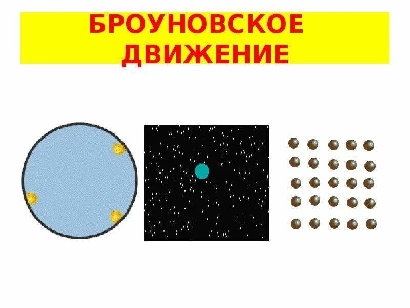 Броуновское движение. Броуновское движение анимация. Броуновское движение картинки. Траектория броуновского движения. 3 броуновское движение