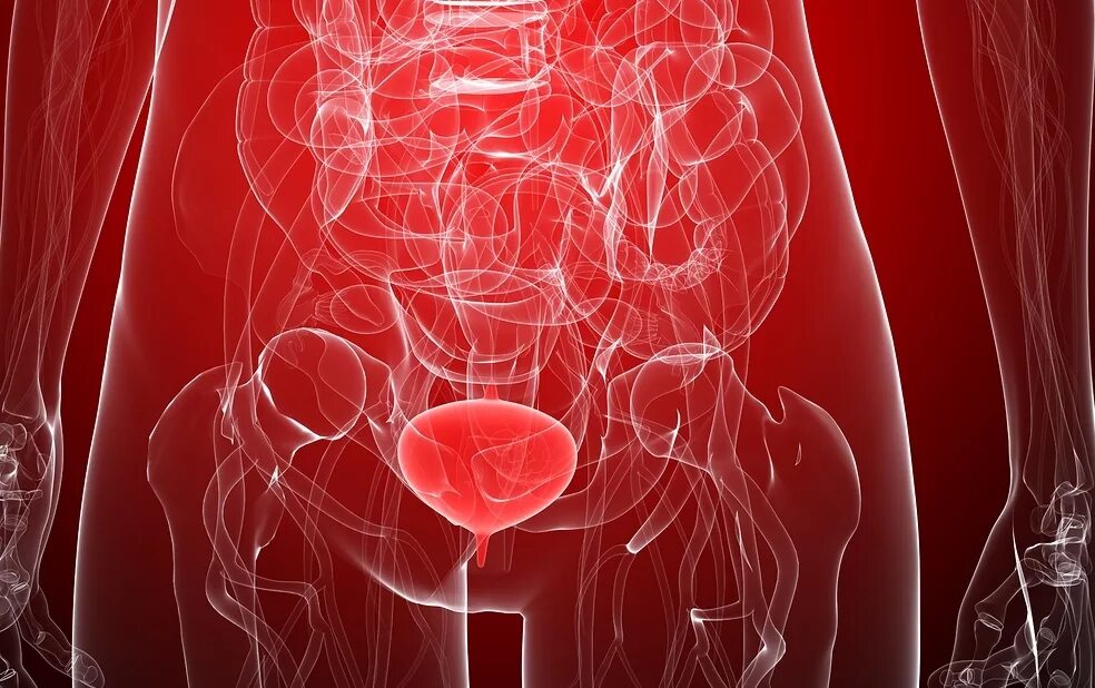 Жжение в простате. Воспаление мочевого пузыря.
