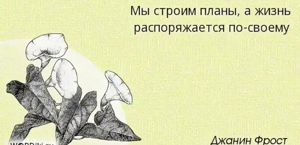 В течение всей жизни мы строим планы. Страна должна знать своих героев. Стпана должнаизнать саоих героев. Страна должна знать своих героев в лицо. Нашедший себя теряет зависимость от чужого мнения.