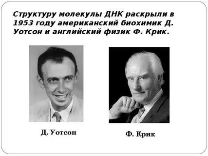 Ф крик открытия