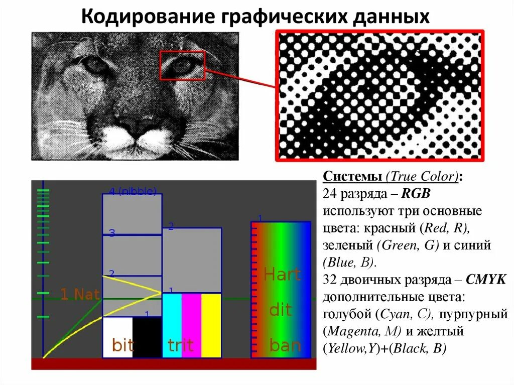 Графические данные примеры. Графическое кодирование. Кодирование графического изображения. Растровое кодирование графической информации. Кодирование цветных графических изображений.