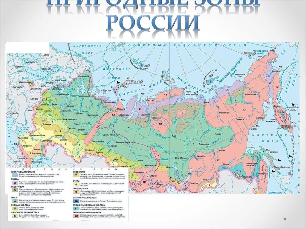 Природно хозяйственные зоны лесные зоны. Карта природных зон России 4. Природные зоны карта природных зон России. Карта природных зон России 4 класс окружающий мир. Карта природных зон России 8 класс география.