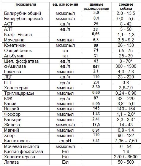 Изменения в биохимическом анализе крови. Показатели биохимического анализа крови расшифровка. Нормальные показатели анализов крови биохимия. Биохимический анализ крови норма человек. Расшифровка биохимия анализа биохимии крови.