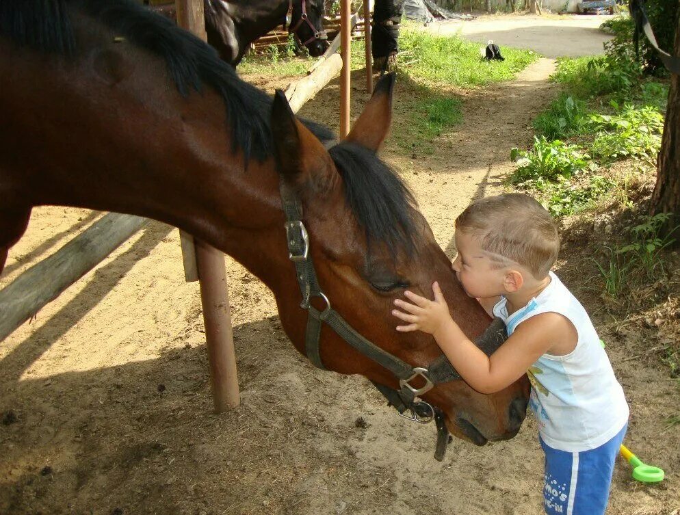 школа кск заповедный санкт петербург. школа кск заповедный санкт петербург. школа кск заповедный санкт петербург. кск заповедный спб. Faith кадры.